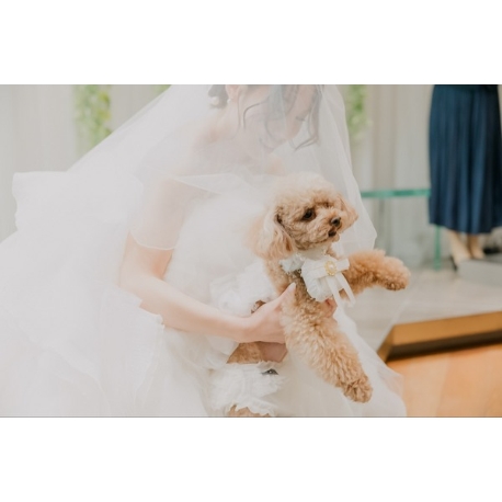 FRIGERIO（フリジェリオ）：【愛犬も主役】豪華試食×一軒家貸切！ペットと彩る自由な結婚式