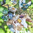 ＰＡＬＡＣＥ ＩＷＡＹＡ　（パレスいわや）のフェア画像