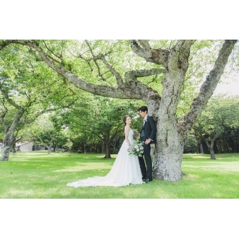 日本平ホテルのフェア画像