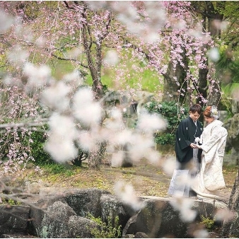 ロイヤルベルズ:【2020年春をご希望の方へ】4・5・６月の挙式限定プラン