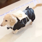 アルカーサル迎賓館 川越のフェア画像