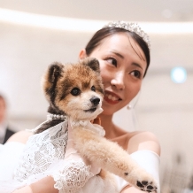 プライベートリゾート カリメーラのフェア画像