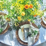 ヴィラ・アンジェリカのフェア画像