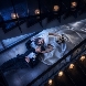 LISERJU Ravimore(リサージュ ラヴィモア)のフェア画像