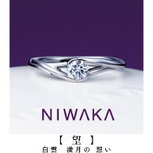 NIWAKA正規取扱１級ジュエリーコーディネーターの指輪店ビジュトリーヨシダ:『 スーッと澄んだ池の水面のように 』二人の幸せな姿が本当に見えてしまう【水鏡】