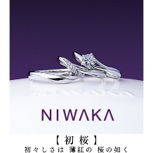 NIWAKA岐阜・北尾張の俄正規取扱店／１級ジュエリーコーディネーターの指輪店.ビジュトリーヨシダ
