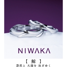 NIWAKA正規取扱１級ジュエリーコーディネーターの指輪店ビジュトリーヨシダ:『 大海原にゆったりと泳ぐ鯨の姿 』のような気持ちの良い幸せの【鯨（くじら）】