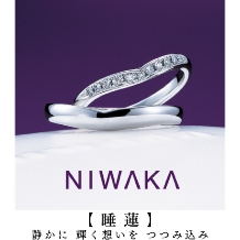 NIWAKA正規取扱１級ジュエリーコーディネーターの指輪店ビジュトリーヨシダ:『 二人の愛という花を、いつまでも輝かせるように 』幸せ願う【睡蓮（すいれん）】