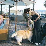 THE VILLAS 長崎（ザ ヴィラズ）のブライダルフェア画像