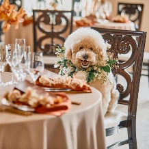 アーフェリーク白金:【ペットウェディングプラン】貸切邸宅でペットと一緒に過ごせる結婚式