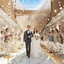 アーフェリーク白金のフェア画像