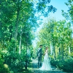 ニーズ高崎 by T&G WEDDING (旧 アーセンティア迎賓館 高崎)のフェア画像