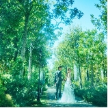 ニーズ高崎 by T&G WEDDING (旧 アーセンティア迎賓館 高崎)のブライダルフェア画像