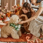 アーククラブ迎賓館　新潟のフェア画像