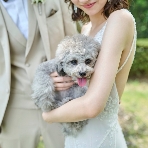ニーズ郡山 by T&G WEDDING (旧 アーククラブ迎賓館 郡山)のフェア画像