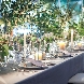 ニーズ名古屋八事 by T&G WEDDING (旧 アーヴェリール迎賓館 名古屋)のフェア画像