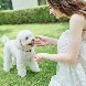 ニーズ名古屋八事 by T&G WEDDING (旧 アーヴェリール迎賓館 名古屋)のフェア画像