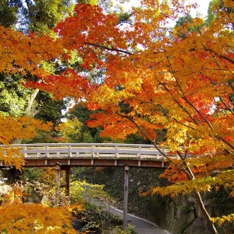 ＧＡＲＤＥＮ ＲＥＳＴＡＵＲＡＮＴ ＴＯＫＵＧＡＷＡＥＮ（ガーデンレストラン徳川園）のフェア画像