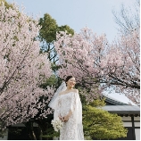 ＧＡＲＤＥＮ ＲＥＳＴＡＵＲＡＮＴ ＴＯＫＵＧＡＷＡＥＮ（ガーデンレストラン徳川園）のブライダルフェア画像