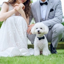 ニーズ岡山 by T&G WEDDING (旧 アーヴェリール迎賓館 岡山):【ペット婚プラン】大好きな愛犬と過ごす！貸切邸宅で叶えるペットウエディング