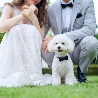 ニーズ岡山 by T&G WEDDING (旧 アーヴェリール迎賓館 岡山):【ペット婚プラン】大好きな愛犬と過ごす！貸切邸宅で叶えるペットウエディング