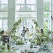 ニーズ京都北山 by T&G WEDDING (旧 北山迎賓館)のフェア画像