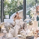 ニーズ鹿児島 by T&G WEDDING (旧 ベイサイド迎賓館 鹿児島)のフェア画像