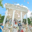 結婚式場:残わずか*贅沢貸切フル体験*森のチャペル×解放感ガーデン×試食