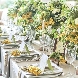 ニーズ浜松 by T&G WEDDING (旧 アーセンティア迎賓館 浜松)のフェア画像