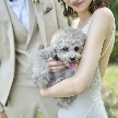 アーセンティア迎賓館　浜松：【大切な家族！ペットと一緒の結婚式】限定特典♪ペットと相談会