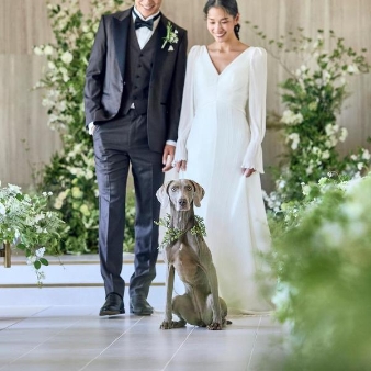 ニーズ青山 by T&G WEDDING (旧 青山迎賓館)のフェア画像