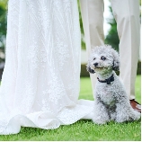 ニーズ岐阜 by T&G WEDDING (旧 アーフェリーク迎賓館 岐阜)のブライダルフェア画像