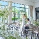 ニーズ静岡ベイ by T＆G WEDDING （旧 ベイサイド迎賓館 静岡）のフェア画像