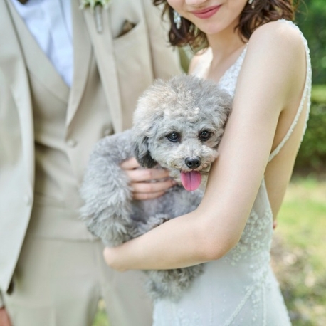 ガーデンヒルズ迎賓館　大宮：【ペットも一緒に♪】走り回れる広大なガーデン＆貸切邸宅体験