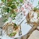 ニーズさいたま新都心 by T&G WEDDING(旧 ガーデンヒルズ迎賓館 大宮)のフェア画像
