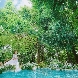 ニーズさいたま新都心 by T&G WEDDINGのフェア画像