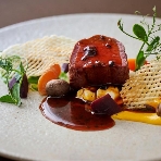 TRUNK BY SHOTO GALLERYのフェア画像