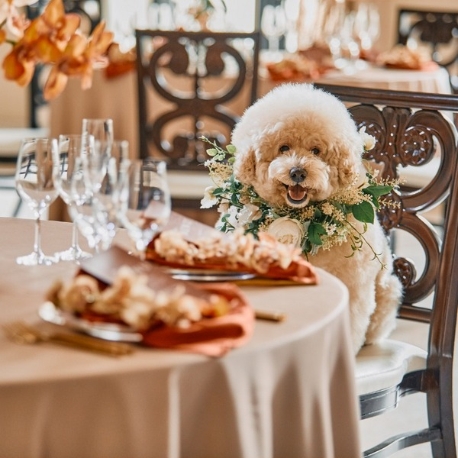 ヒルサイドクラブ迎賓館　札幌：＜ペット婚*必見!!＞豪華10大特典＆愛犬と*貸切リゾートW