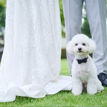ニーズ札幌 by T&G WEDDING (旧 ヒルサイドクラブ迎賓館 札幌):【ペット婚*必見!!】豪華10大特典＆ペットと一緒に*貸切リゾートWプラン