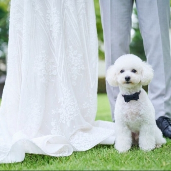 ニーズ札幌 by T&G WEDDING (旧 ヒルサイドクラブ迎賓館 札幌):【ペット婚*必見!!】豪華10大特典＆ペットと一緒に*貸切リゾートWプラン
