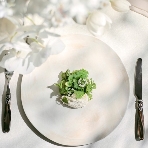 表参道TERRACEのフェア画像