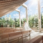 表参道TERRACEのフェア画像