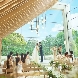 ニーズ表参道 by T&G WEDDING (旧 表参道テラス)のフェア画像