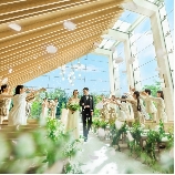 ニーズ表参道 by T&G WEDDING (旧 表参道テラス)のブライダルフェア画像