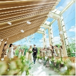 ニーズ表参道 by T&G WEDDING (旧 表参道テラス)のブライダルフェア画像