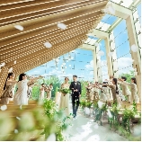 ニーズ表参道 by T&G WEDDING (旧 表参道テラス)のブライダルフェア画像
