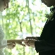 ニーズ静岡 by T&G WEDDING (旧 アーセンティア迎賓館 静岡)のフェア画像