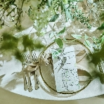 ニーズ静岡 by T&G WEDDING (旧 アーセンティア迎賓館 静岡)のフェア画像
