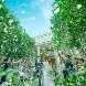 ニーズ静岡 by T&G WEDDING (旧 アーセンティア迎賓館 静岡)のフェア画像