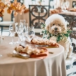 ニーズ静岡 by T&amp;amp;G WEDDING （旧 アーセンティア迎賓館 静岡）：エリア稀少の【ペット婚】１組限定の貸切邸宅*初見学はギフト付